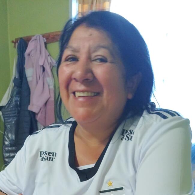 Niñera en Puerto Montt: Pabli