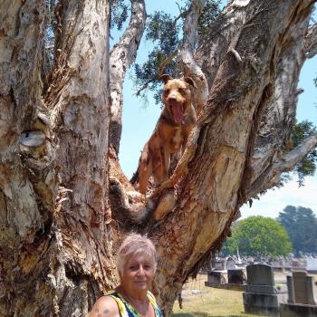 Babysitter in Whanganui: Judy