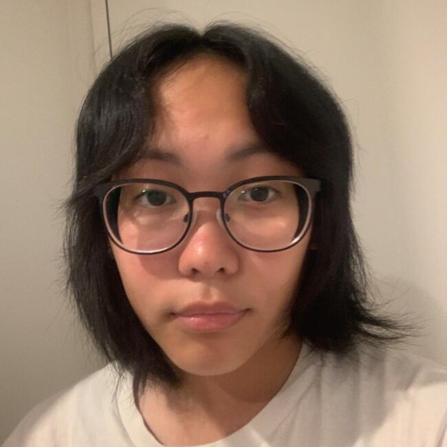 Babysitter in Auckland: Ariane