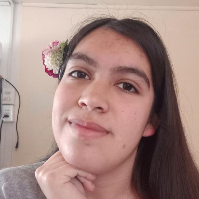Babysitter in Viña del Mar: Celene