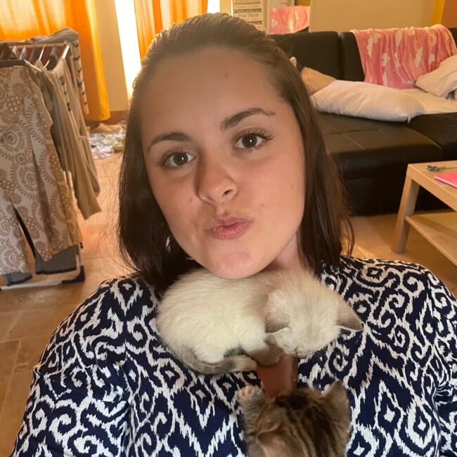 Babysitter in Curgy: Phybie