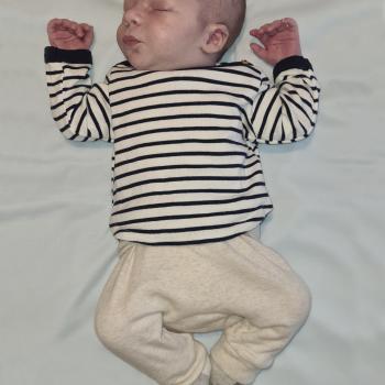 Babysitting job in Alicante: babysitting job Carla