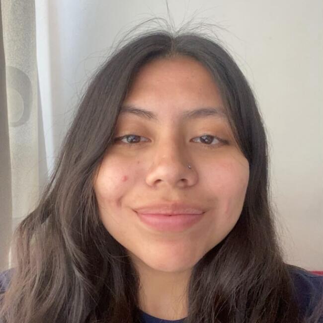 Babysitter in Santiago: Marion
