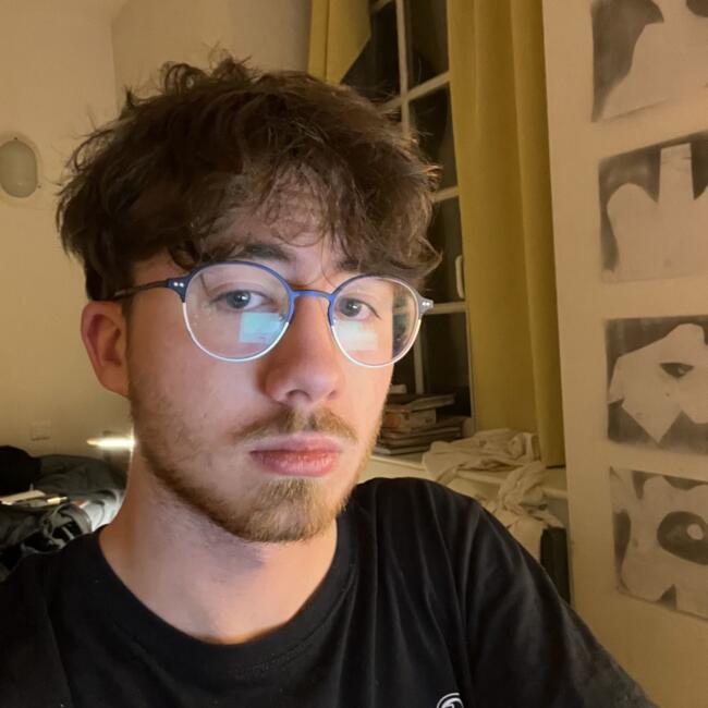 Babysitter in Cherbourg: Louis