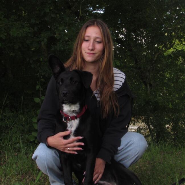 Babysitter in Issoudun: Satine