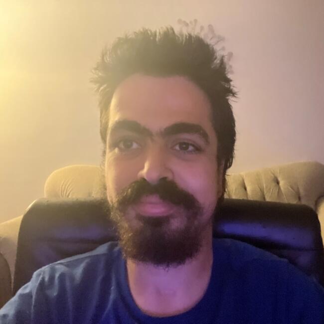 Babysitter in Henrico (Virginia): Ayman