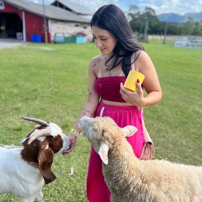 Babysitter in Garopaba: Maria eduarda