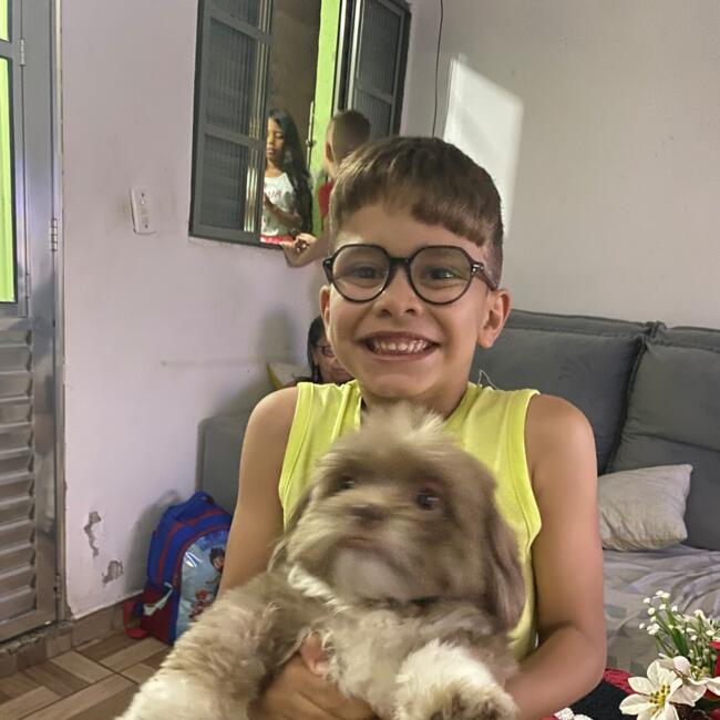 Babysitting job in São Paulo: Alice