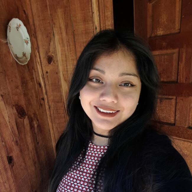 Babysitter in Temuco: Mónica Priscila