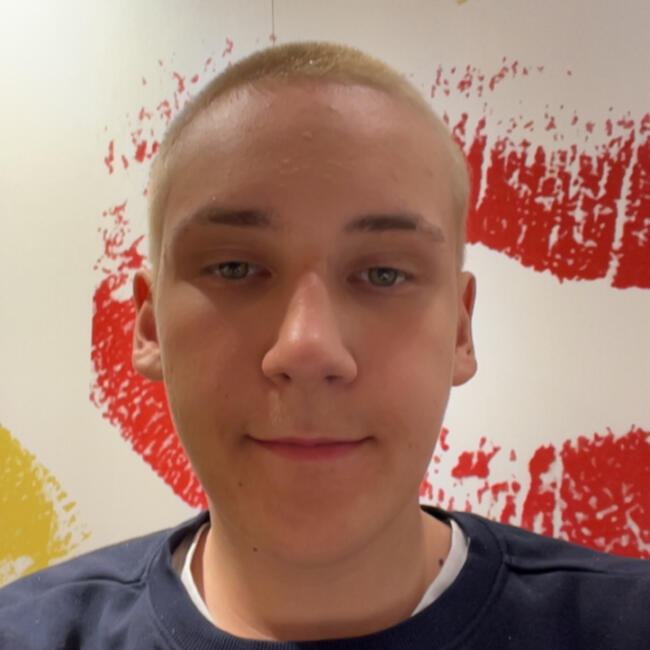 Babysitter in Aalst: Ian