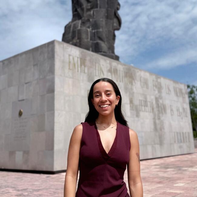 Niñera en Santiago de Querétaro: ANA SOFIA