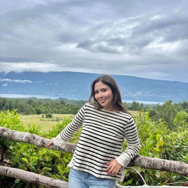 Niñera en Viña del Mar: Amanda