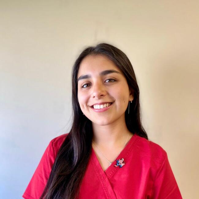 Babysitter in Concón: Catalina Calderón Torres