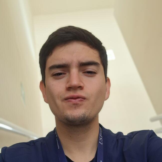 Babysitter in Valparaíso: Bruno Alvarez