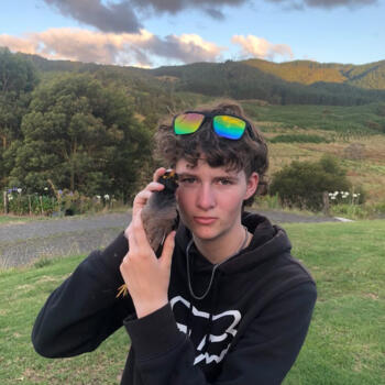Babysitter in Whangarei: George Blissett