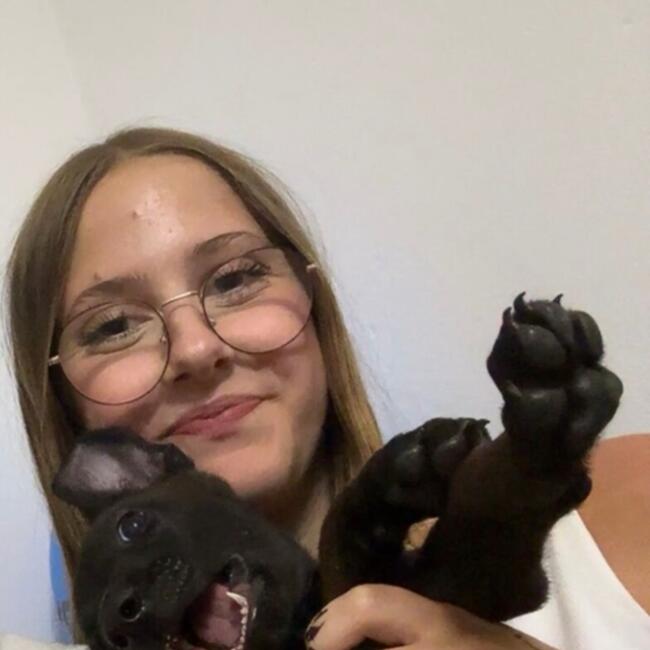 Babysitter in Valeyres-sous-Rances: Nohéa