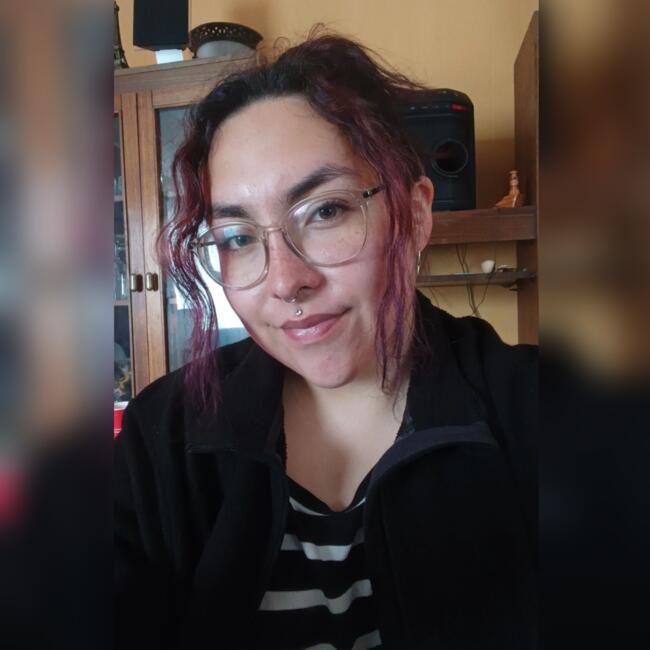 Niñera en Concepción: Sofía