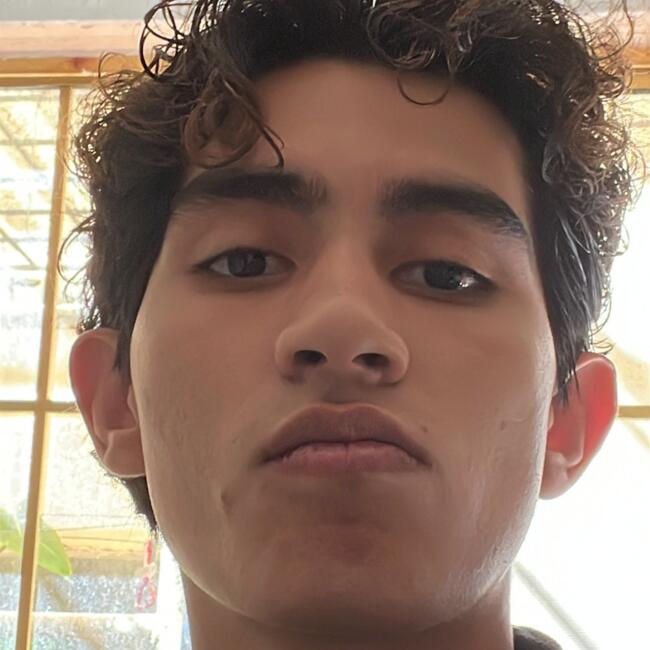 Babysitter στην περιοχή Aguascalientes: Iván
