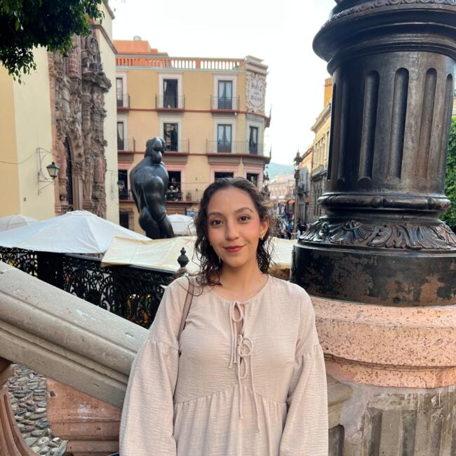 Babysitter in San Nicolás de los Garza: Andrea Sepulveda