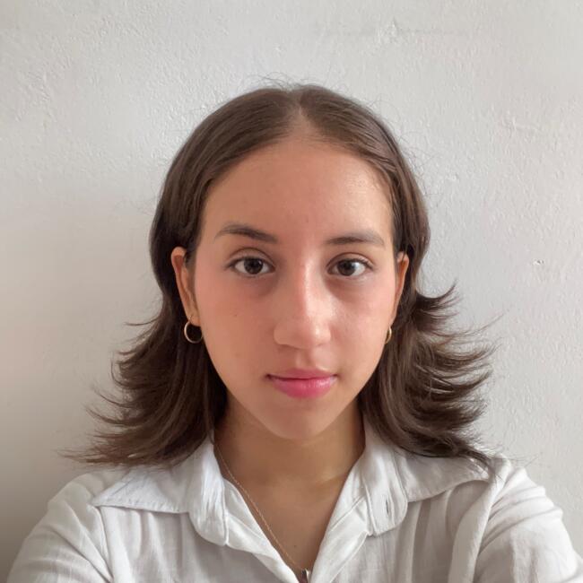Babysitter in Víctor Larco Herrera: Grecia