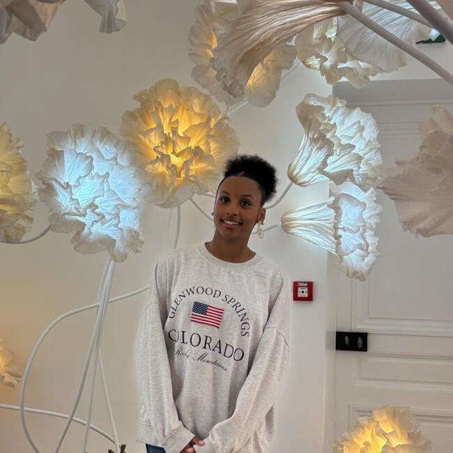 Babysitter in Tremblay-en-France: Stecy