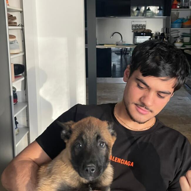 Babysitter in Pélissanne: Flavio