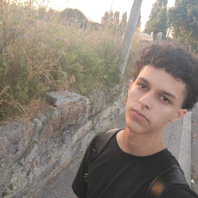 Babysitter in Baguim do Monte: Paulo