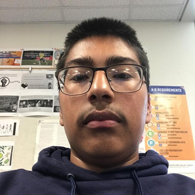 Babysitter in Lancaster: Brandon