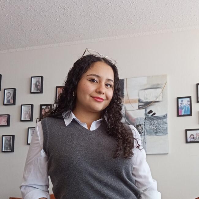 Babysitter in Antofagasta: Karol