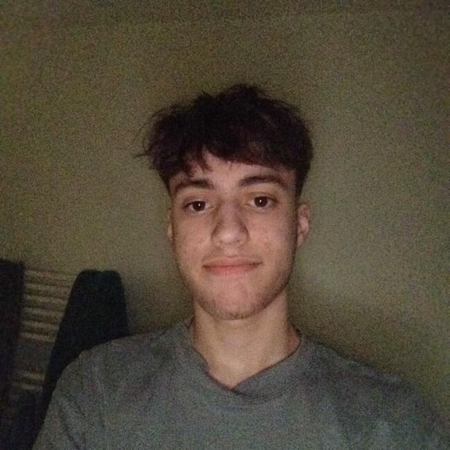 Babysitter in Surgères: Enzo