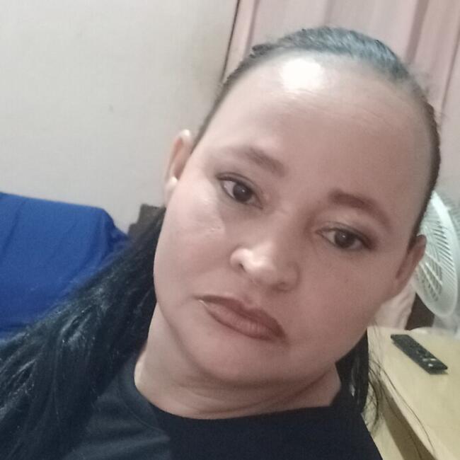 Babá em Pinheiral: Deise daiana