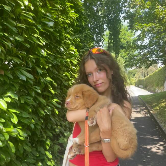 Babysitter στην περιοχή Vernier: Elodie