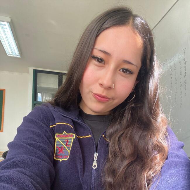 Babysitter in Port Montt: Isidora