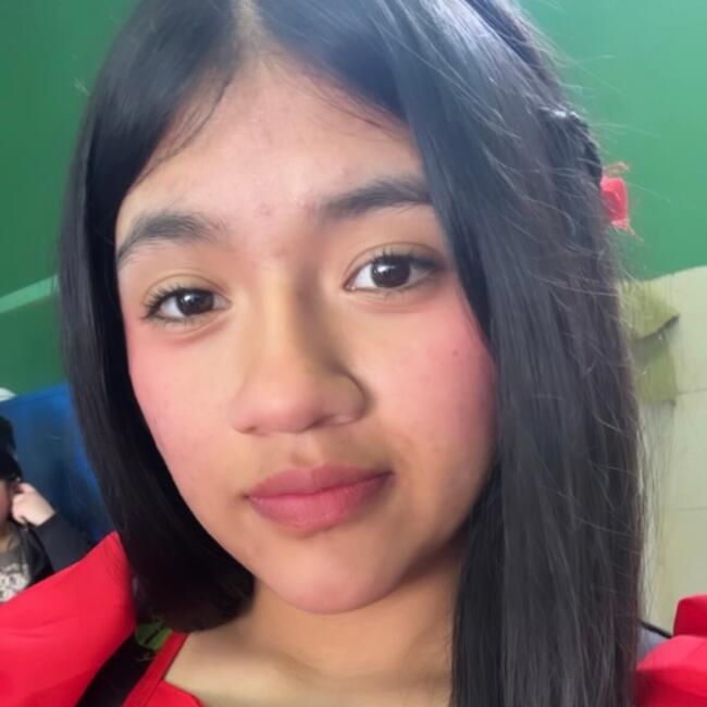 Babysitter in Santiago: Alexandra