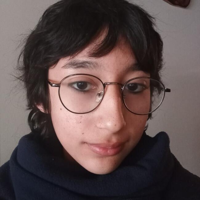 Babysitter in Talca: Valentina
