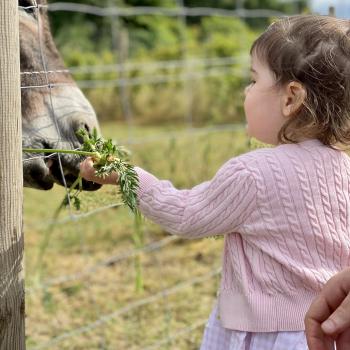 Babysitadres in Waterloo: babysitadres Arpine