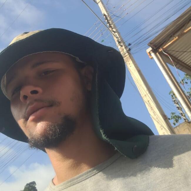 Babysitting job in Colatina: Diogo