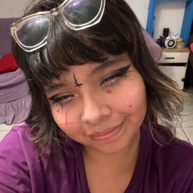 Babysitter in Santiago: Camila