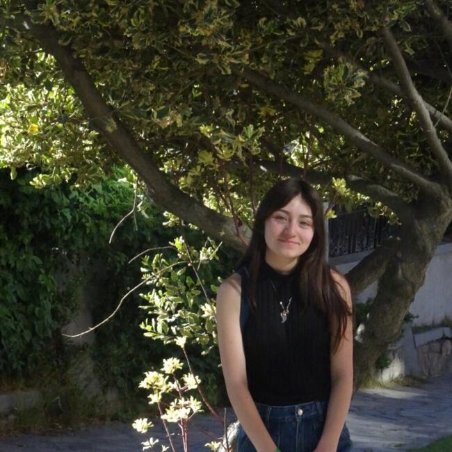 Babysitter in Valparaíso: Ackerly