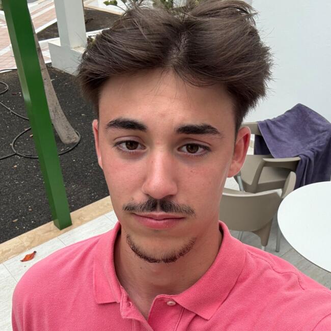 Babysitter in Angoulême: Brice