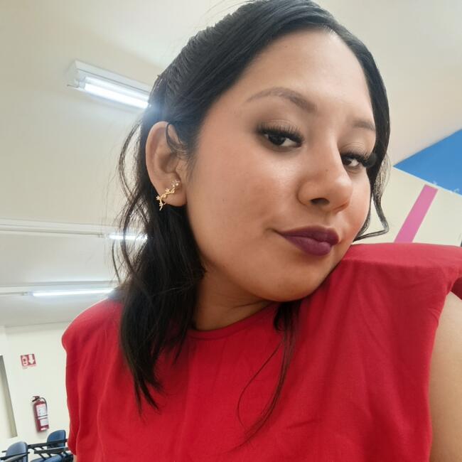 Babysitting job in La Victoria (Pesquería): Ana Lucia