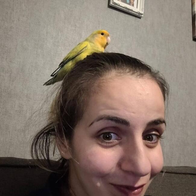 Babysitter in Sint-Katelijne-Waver: Christin