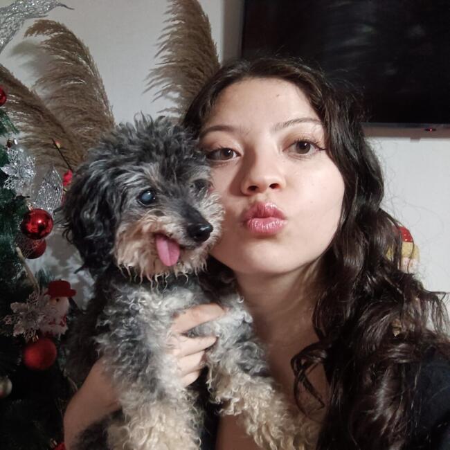 Babysitter in Santiago: Maria José