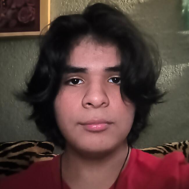 Babysitter in San Antonio: Jake