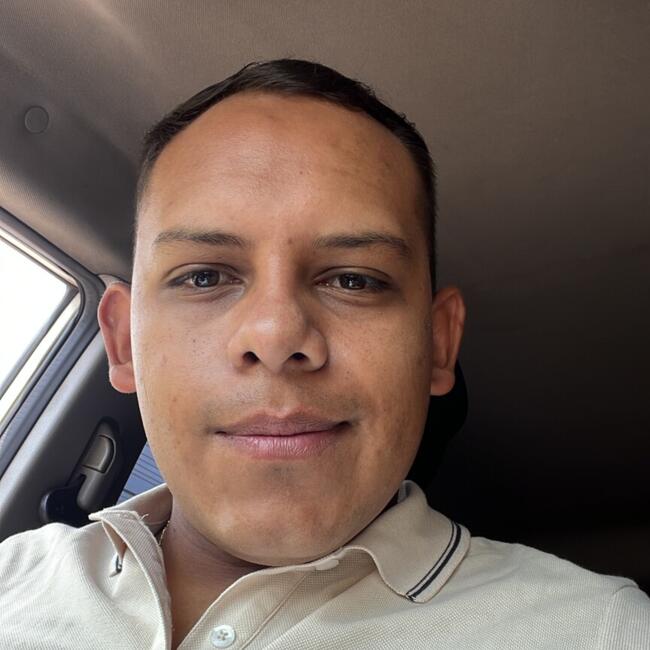 Babysitter em Logroño: Julian