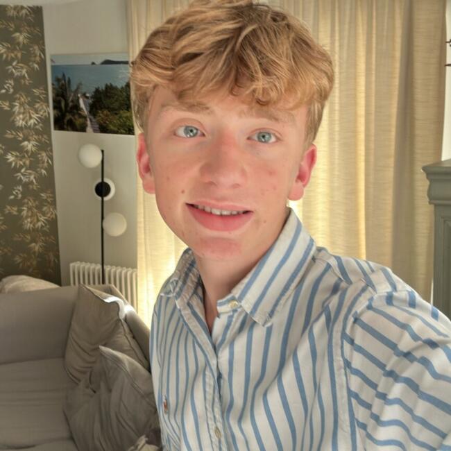 Babysitter in Lille: Alban