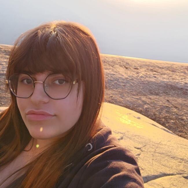 Barnvakt i Vendelsö (Stockholms län): Nur