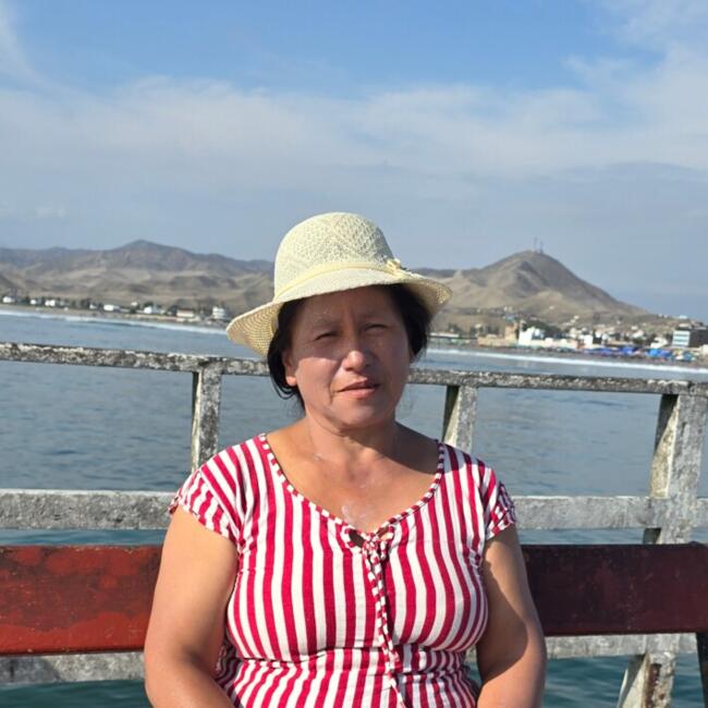 Babysitter in Carabayllo: Luz Nelida