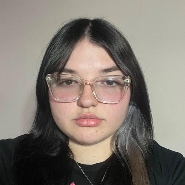 Babysitter in Mar del Plata: Sara