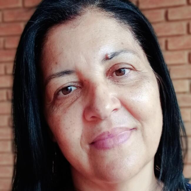 Babysitter in Araraquara: Suelene
